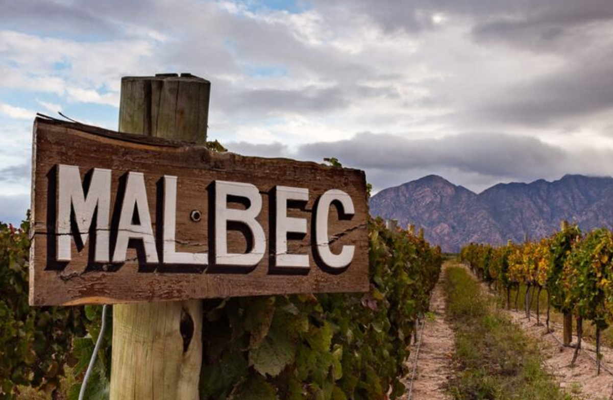 Captura de pantalla 2026-04-06 174127