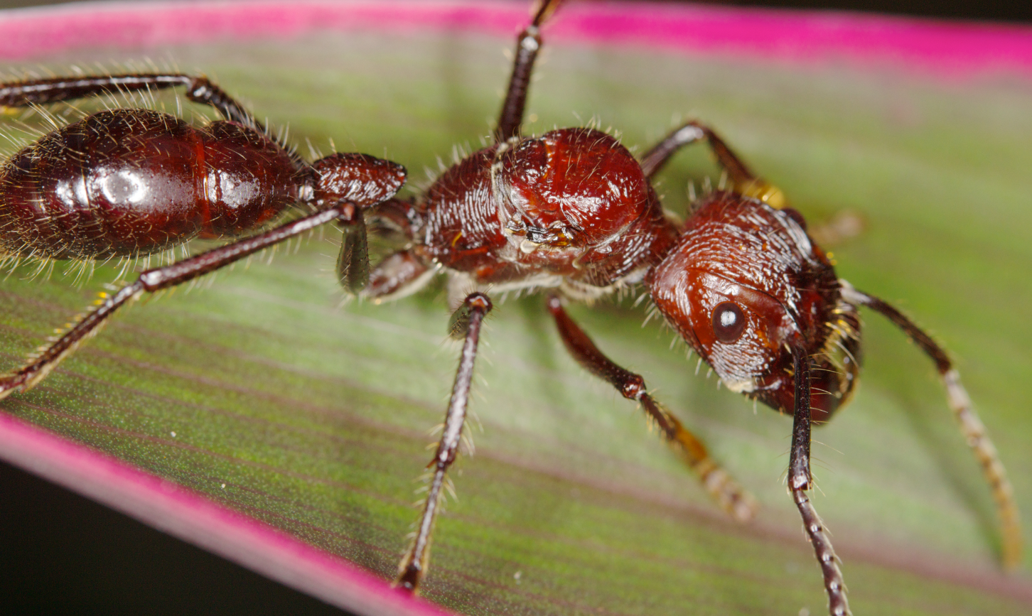 Captura de pantalla 2026-04-09 123304